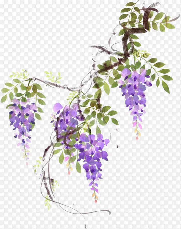 手绘紫色藤蔓花朵素材
