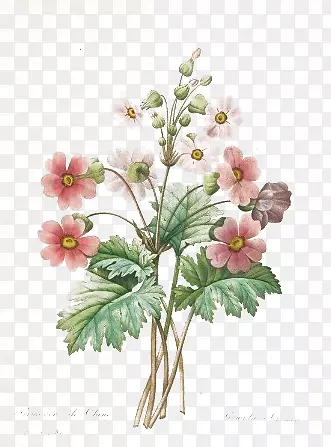 花卉