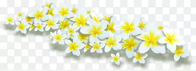 黄白色小花海报装饰