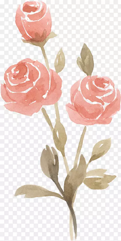 水墨粉色玫瑰花朵
