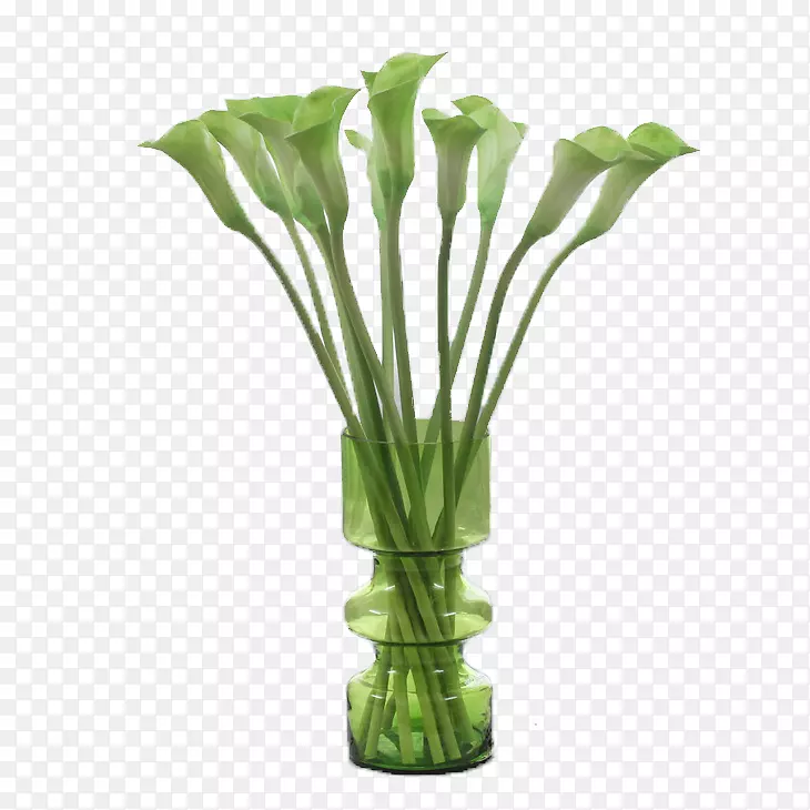 绿色花瓶中的海芋花
