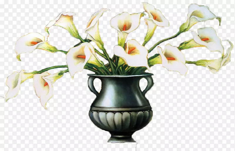 复古花瓶中的白色马蹄莲