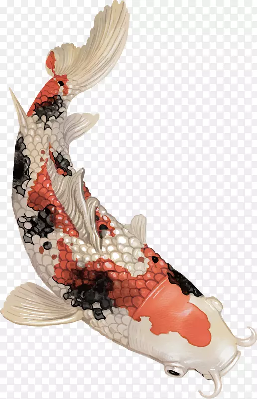 中国风彩绘锦鲤鱼富贵鱼矢量图