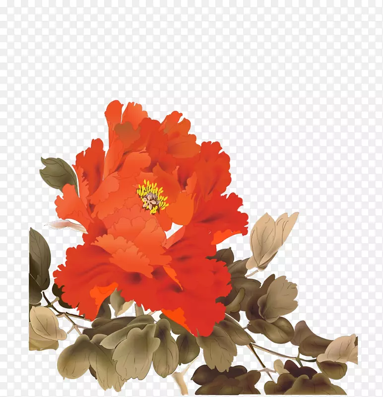 橙色海棠花