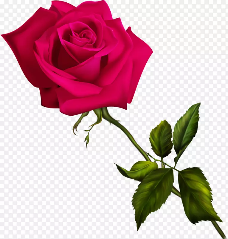 手绘一支红色玫瑰花