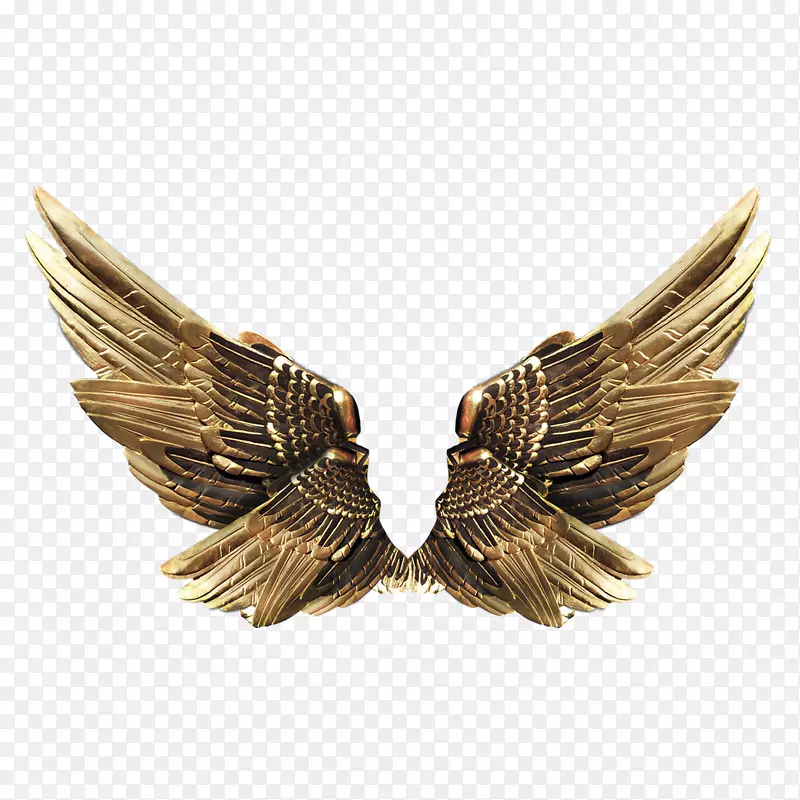 金属翅膀