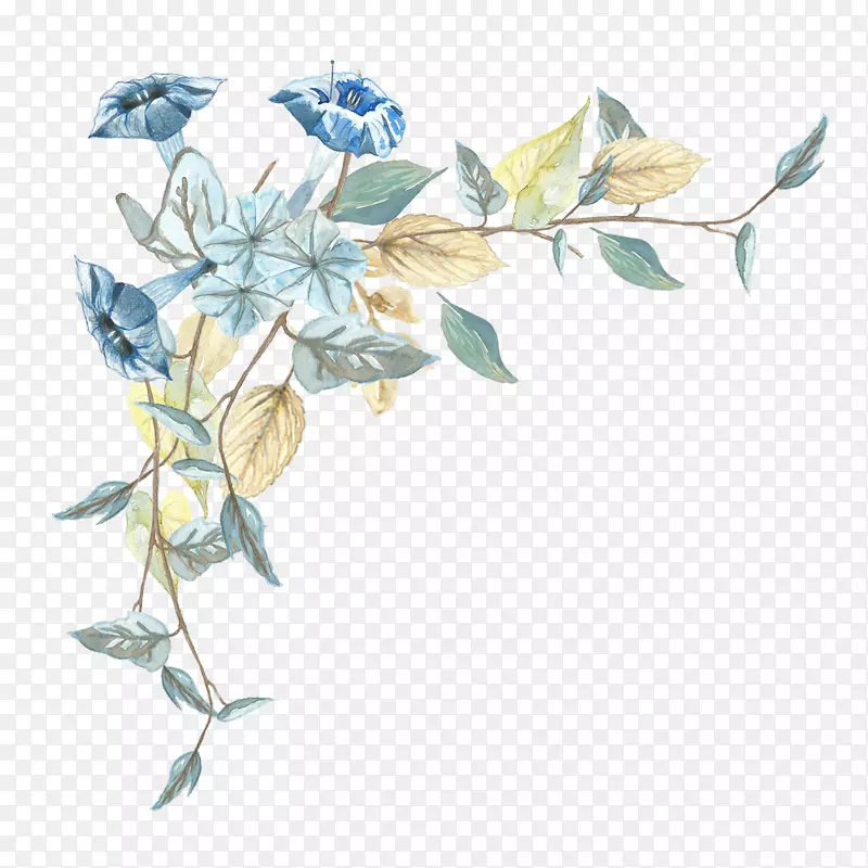 蓝色手绘的喇叭花