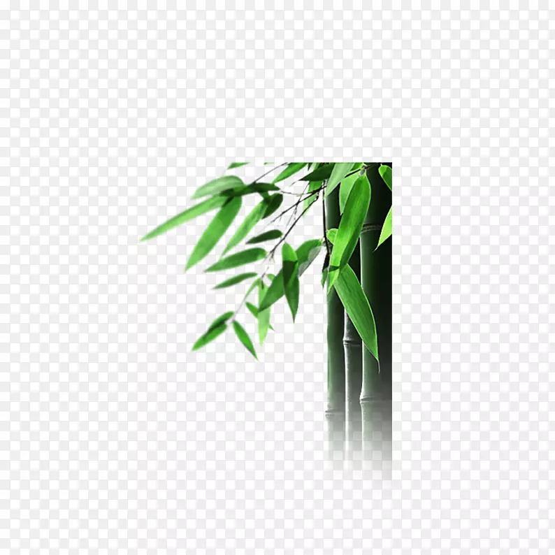 绿色竹子PNG图片素材下载_图片编号7326626-PNG素材网