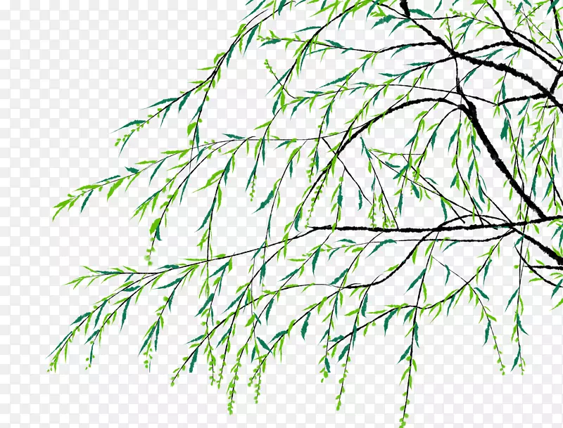 清新手绘树枝枝叶插画PNG图片素材下载_图片编号7326748-PNG素材网
