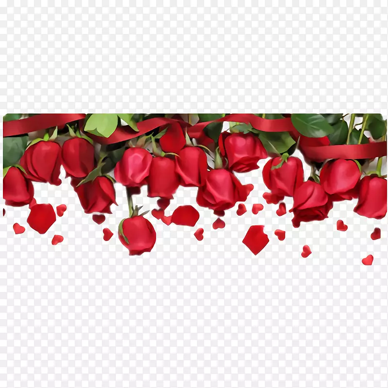 红色玫瑰花边框免费下载