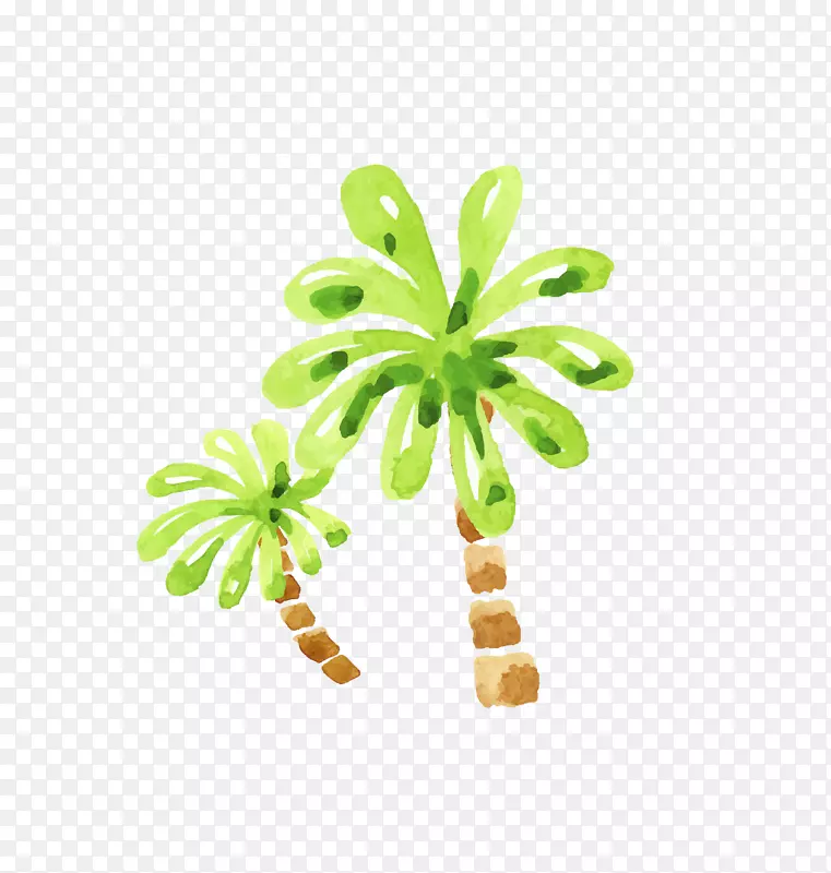 矢量手绘水彩逼真椰子树
