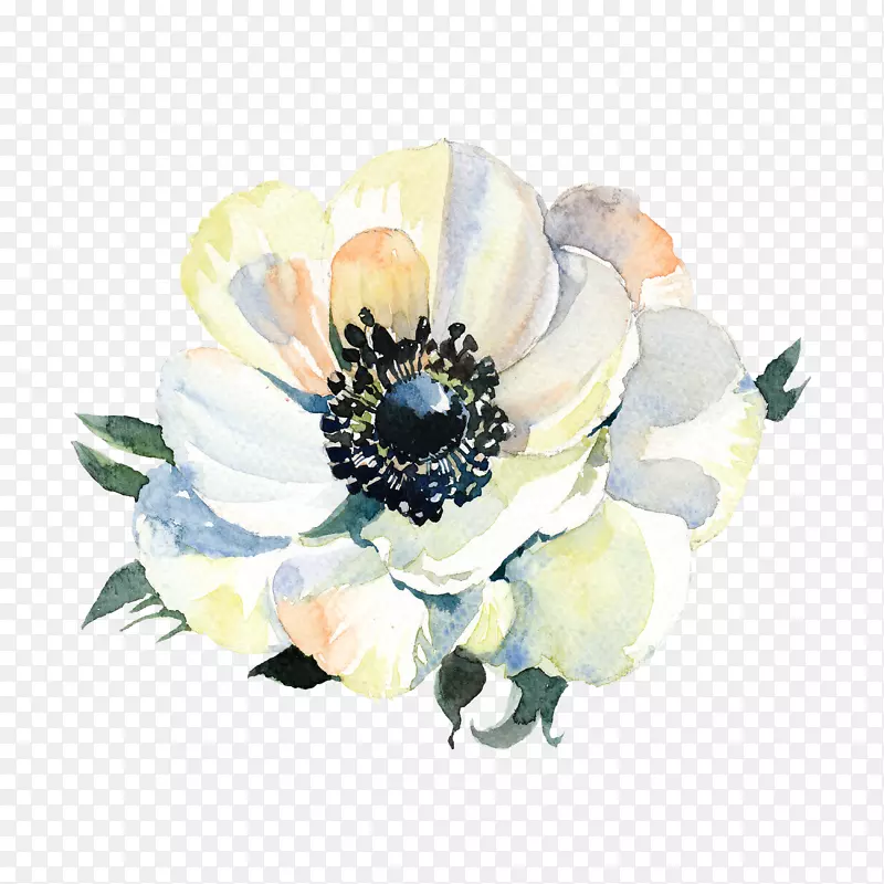 白色手绘花朵元素