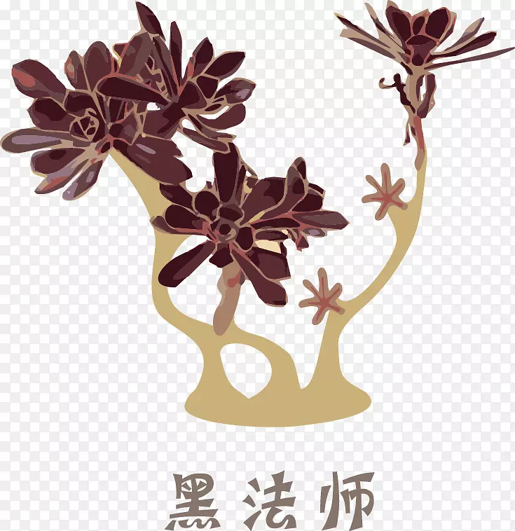 原创多肉植物写实矢量素材