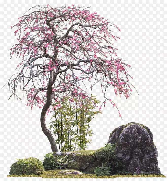 PNG素材已抠树木3