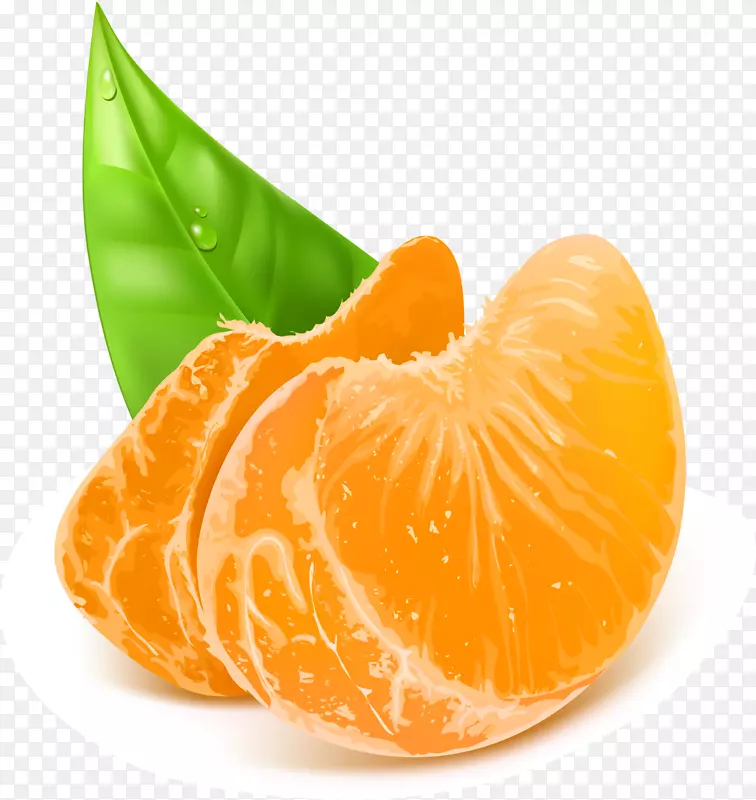 橙色简约橙子