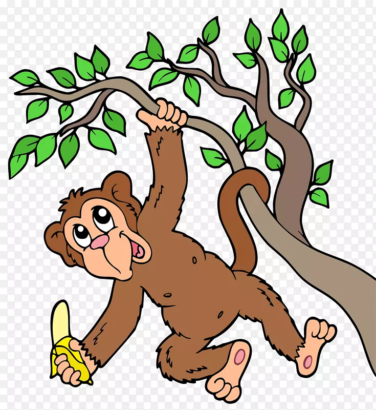 大猩猩挂在树上吃香蕉