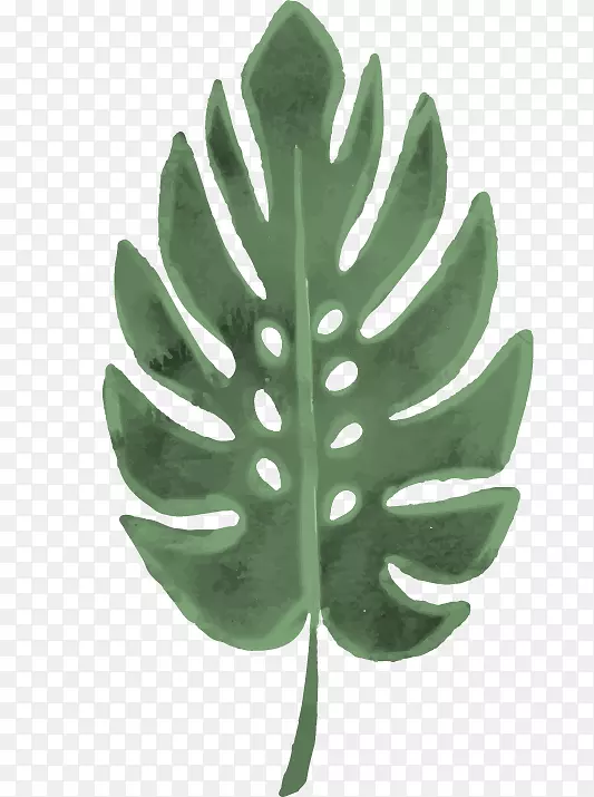 手绘绿色椰叶免抠图