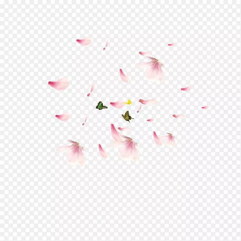 漂浮樱花瓣