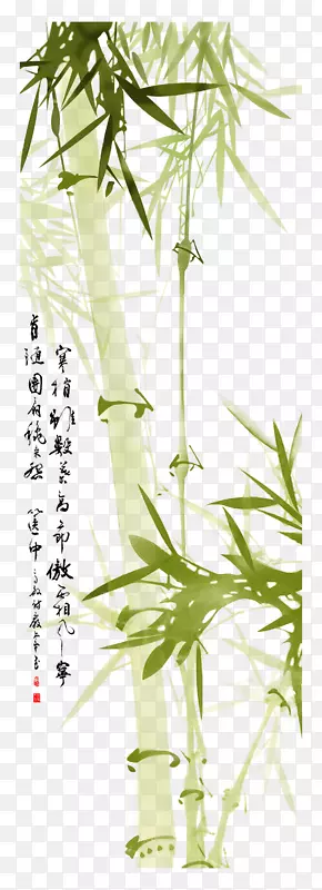 绿色竹子高清图