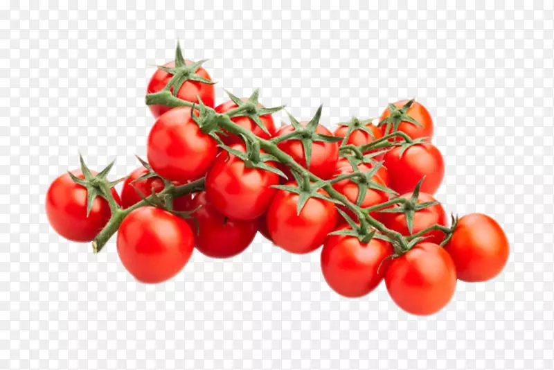 实物红色分支带藤樱桃番茄