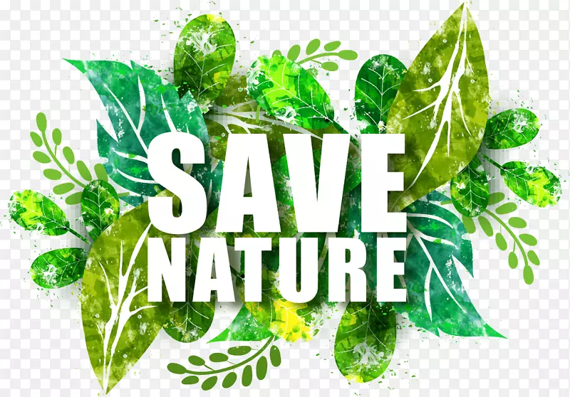 绿色树叶保护自然海报