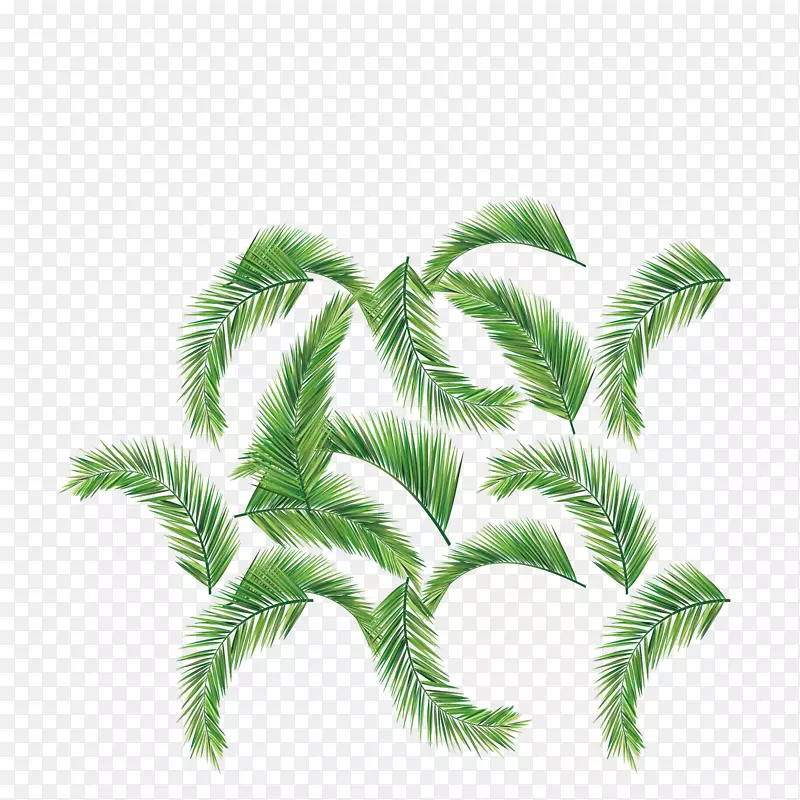 绿色活力生机椰子树