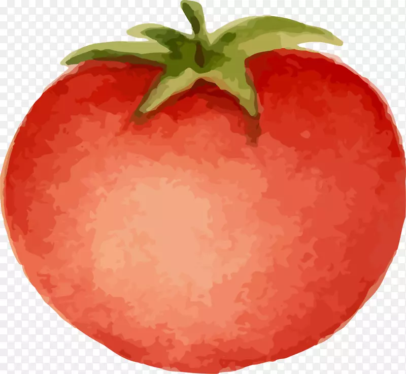 红色卡通番茄