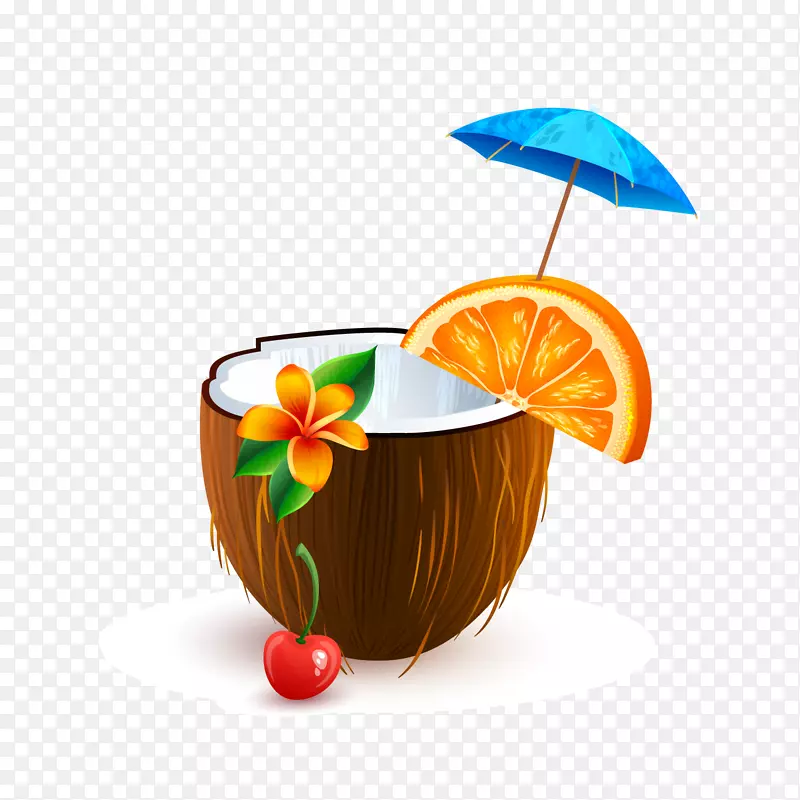 夏季椰子汁矢量图
