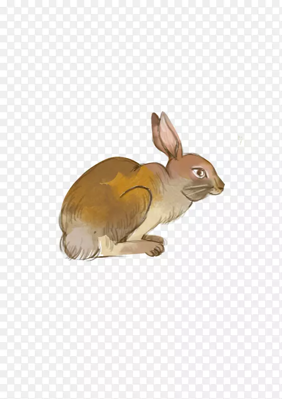 卡通手绘的小兔子