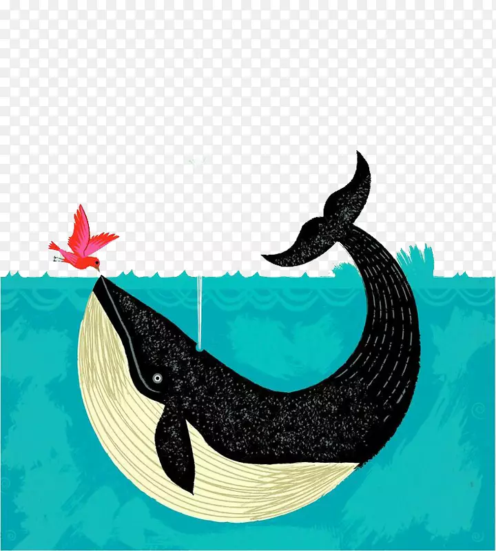 海水鲸鱼