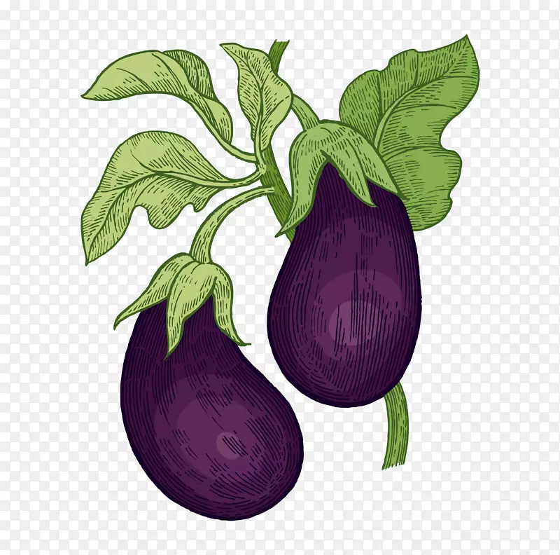 手绘紫色的茄子素材