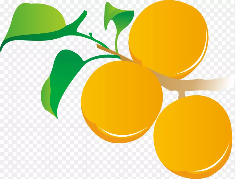 矢量黄色橙子效果元素免抠素材