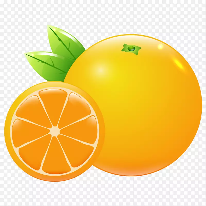 橘色手绘橙子水果