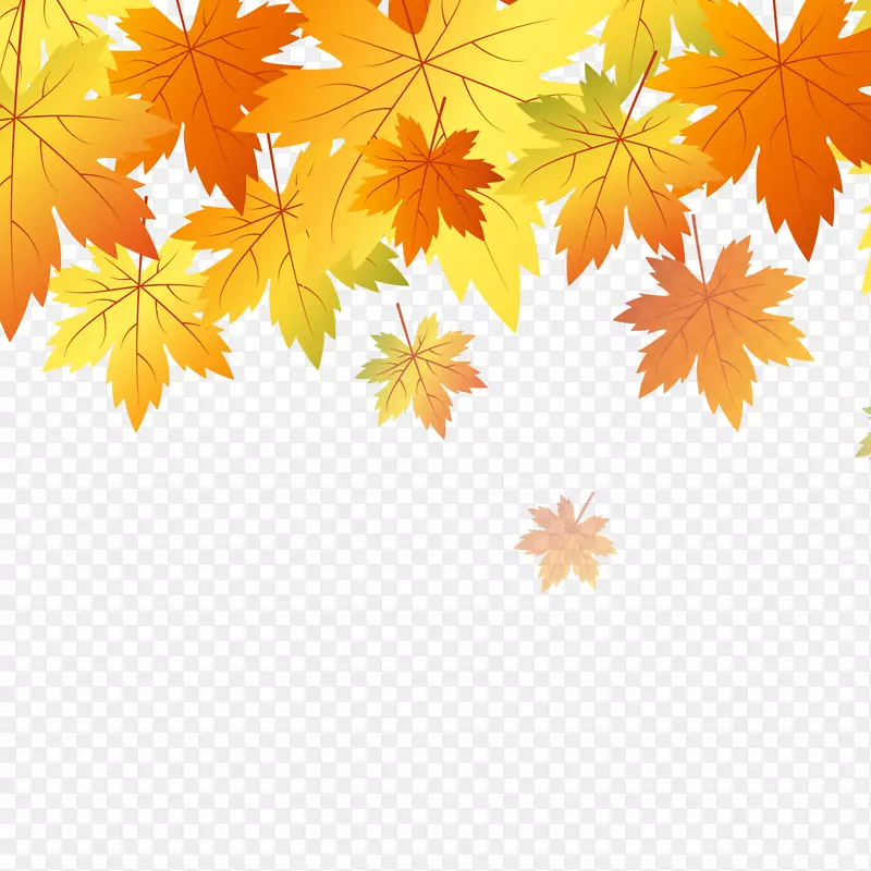 橙色秋季树叶矢量图