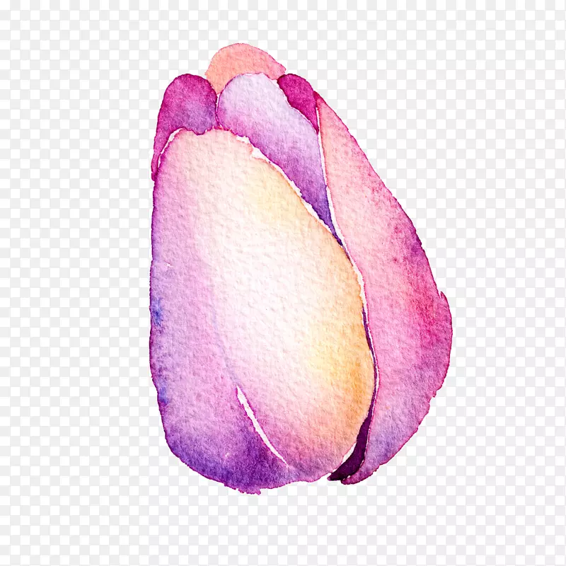 高清免抠手绘水彩花蕾素材