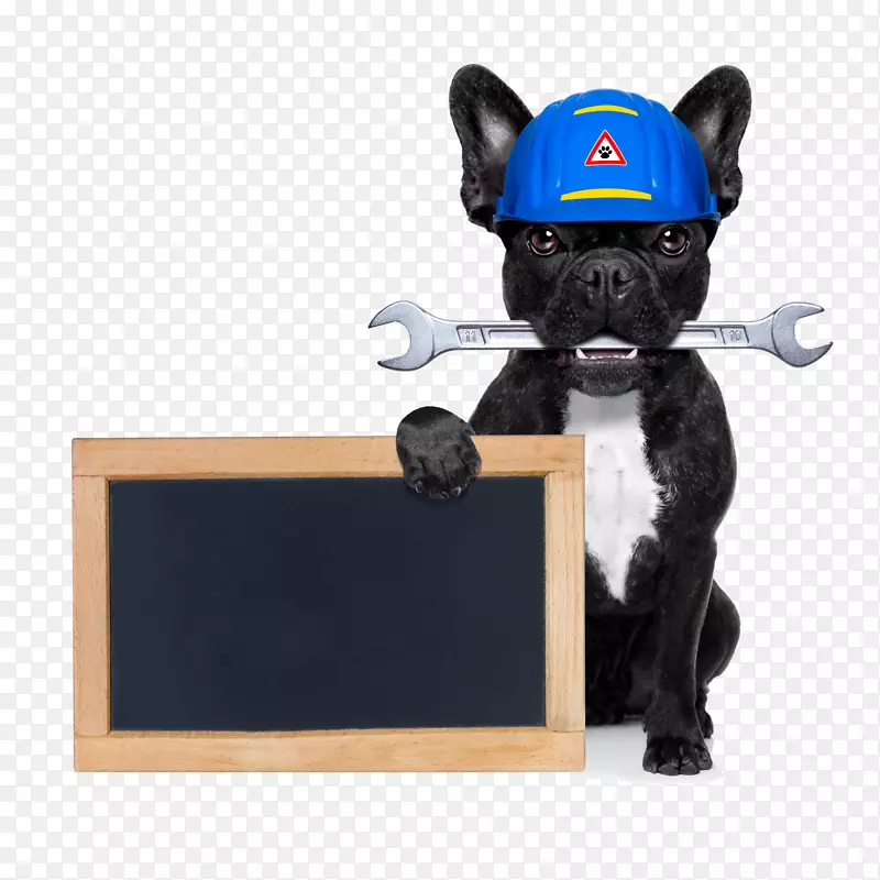 创意小狗与黑板