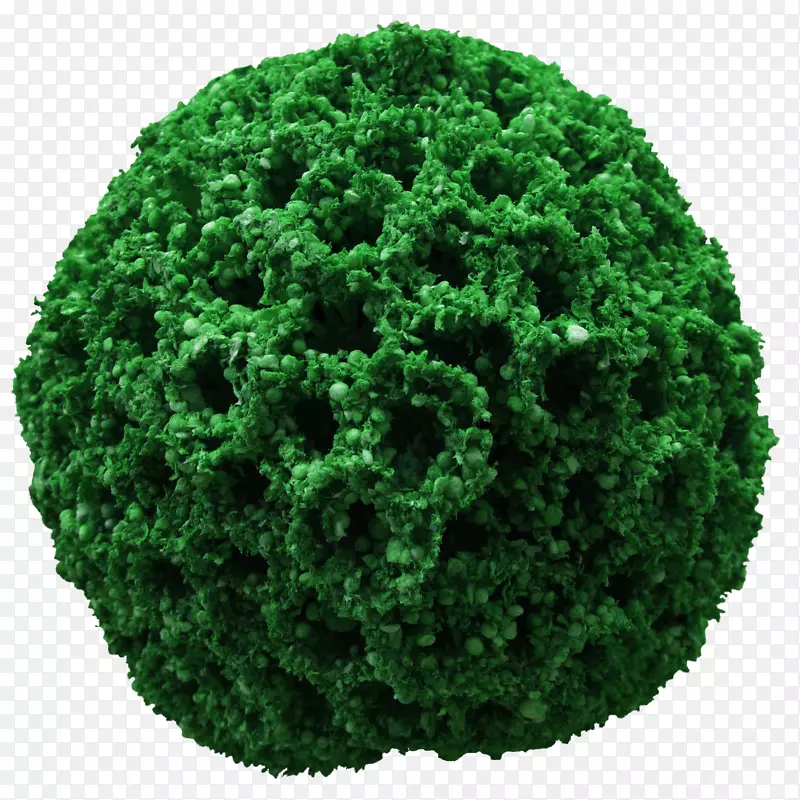 绿色圆球植物