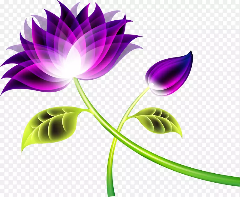 紫色浪漫梦幻花卉