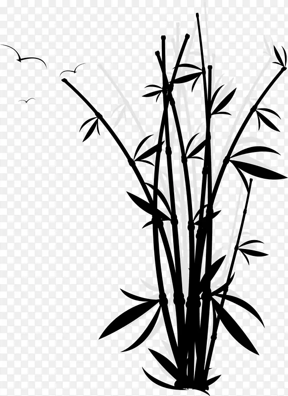 黑色竹子