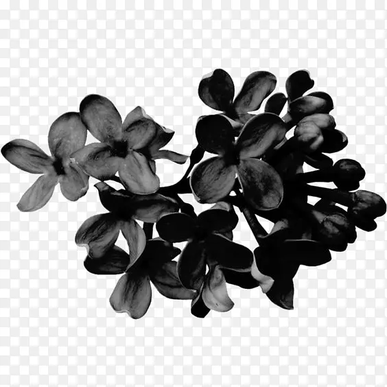黑色花朵装饰