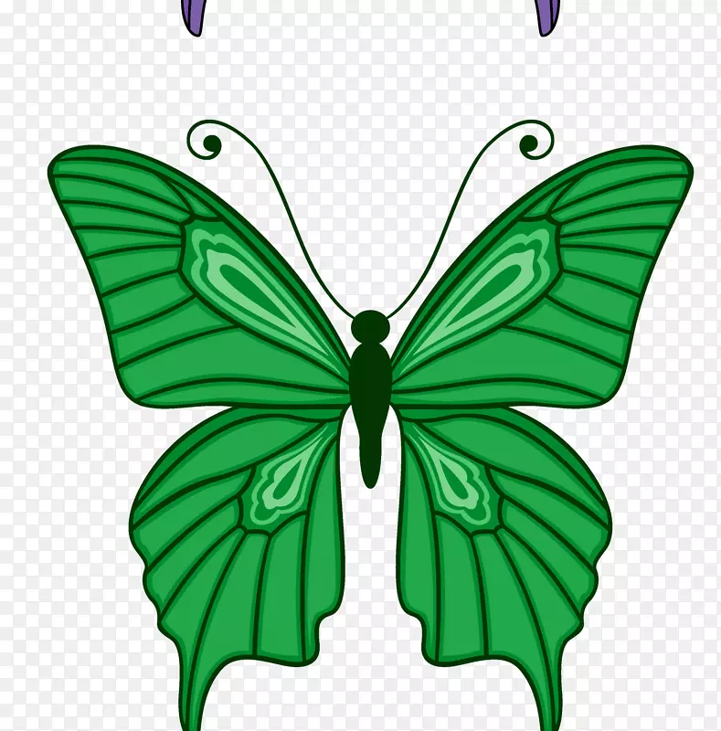 卡通手绘绿色的蝴蝶