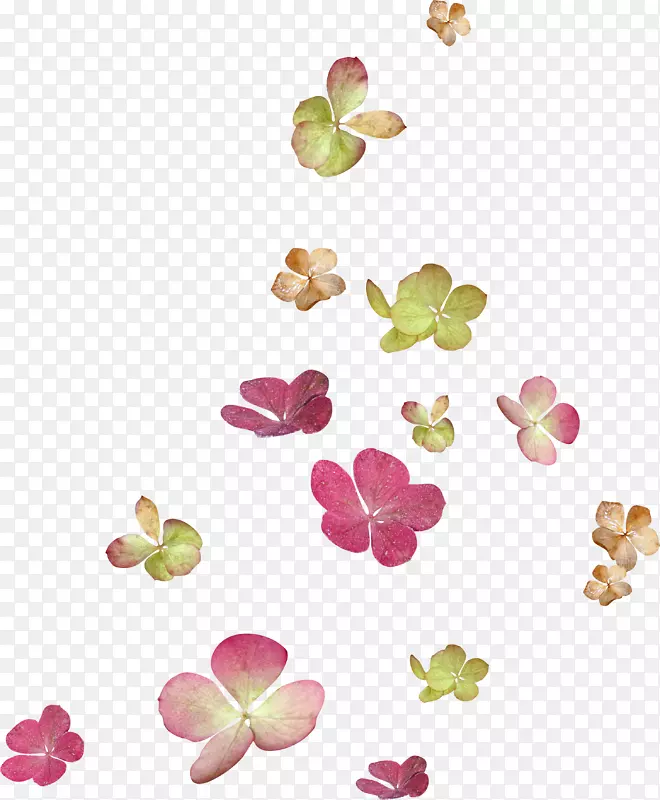 漂浮的粉色花朵