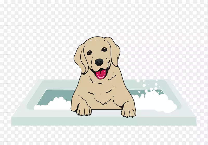 小狗在浴池洗澡