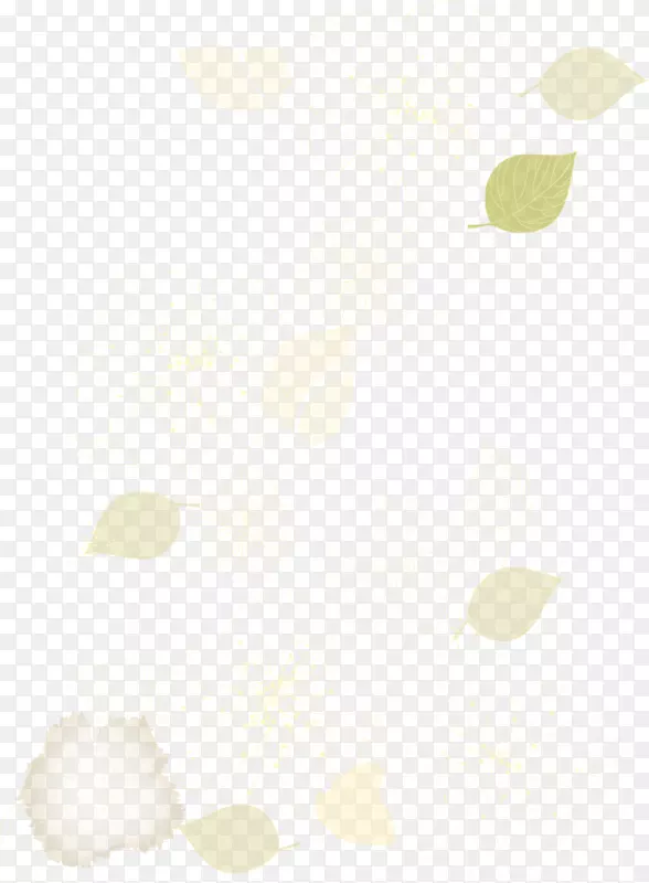 线描花卉叶子透明png