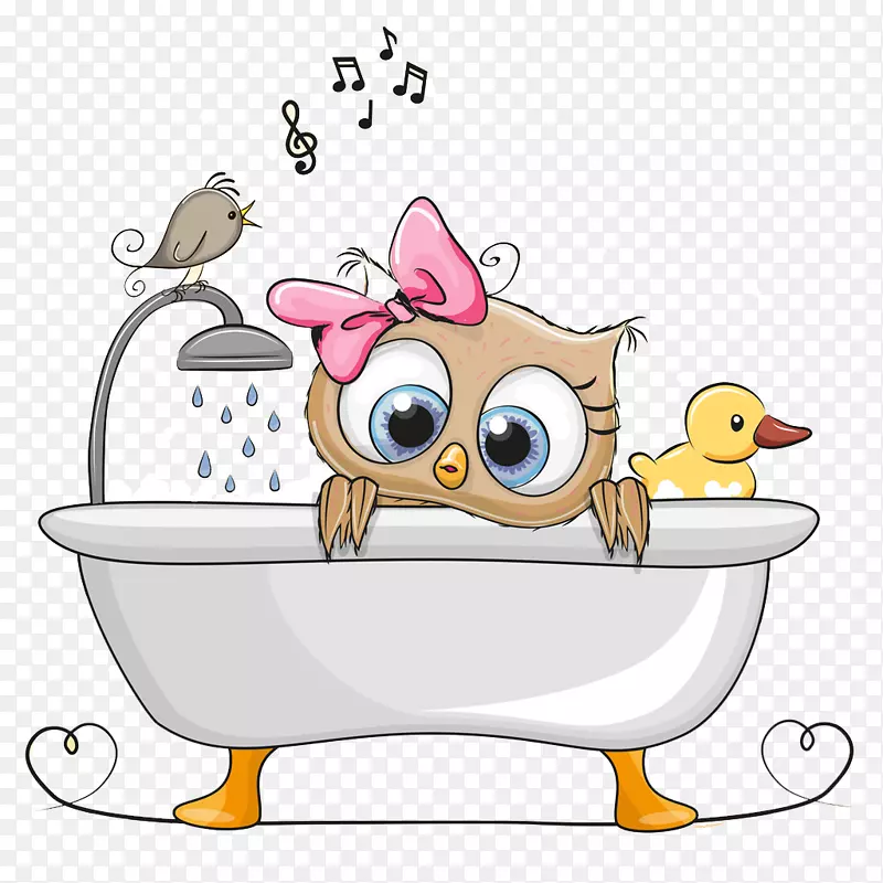 洗澡的猫头鹰