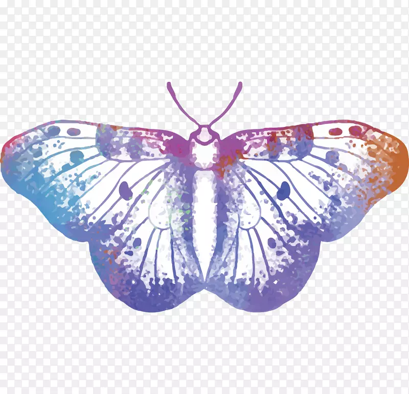 水彩素描蓝色蝴蝶