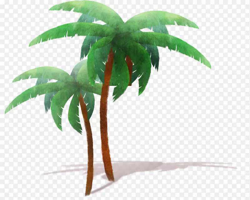 椰树