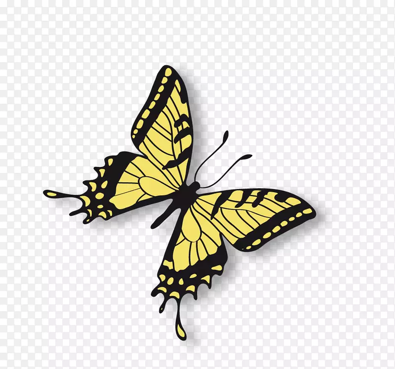 黄色花纹美丽蝴蝶