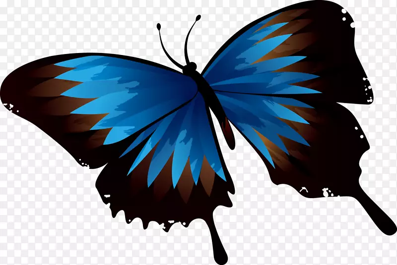 飞舞的蓝色蝴蝶图