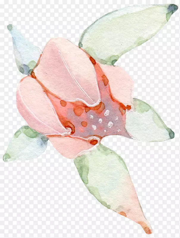 水彩粉色花朵